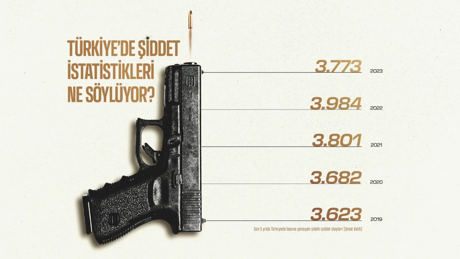 Türkiye’deki şiddet istatistiklerinin söyledikleri ve söylemedikleri